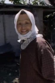 배우 사진