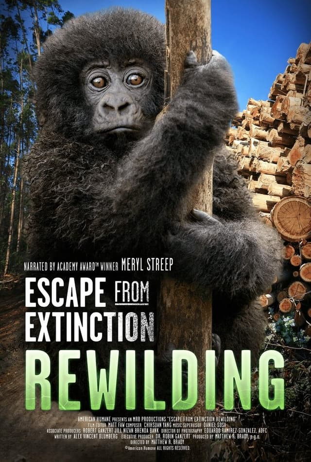 similar movie