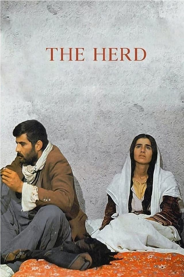 similar movie