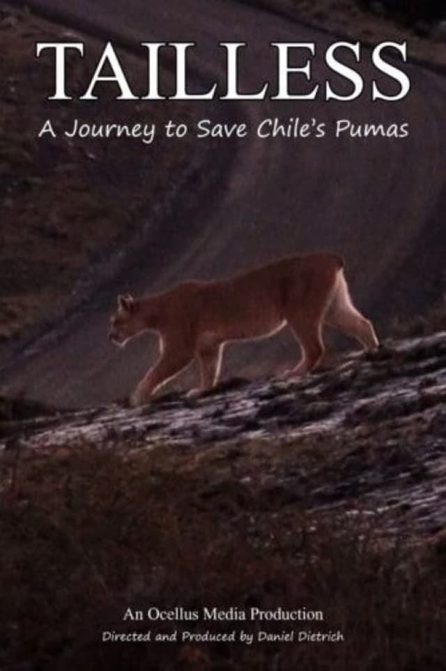similar movie