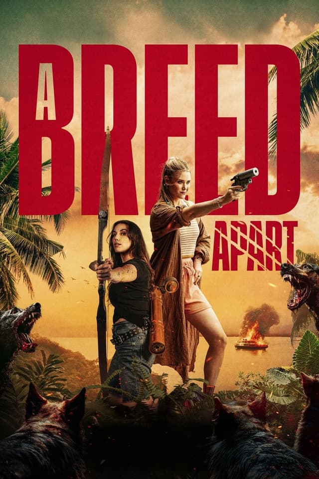 similar movie