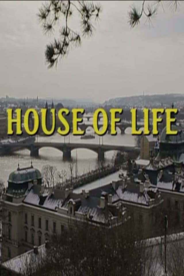 similar movie