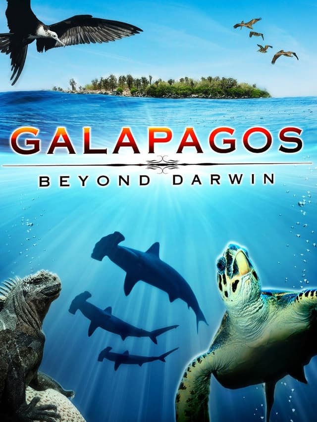 similar movie