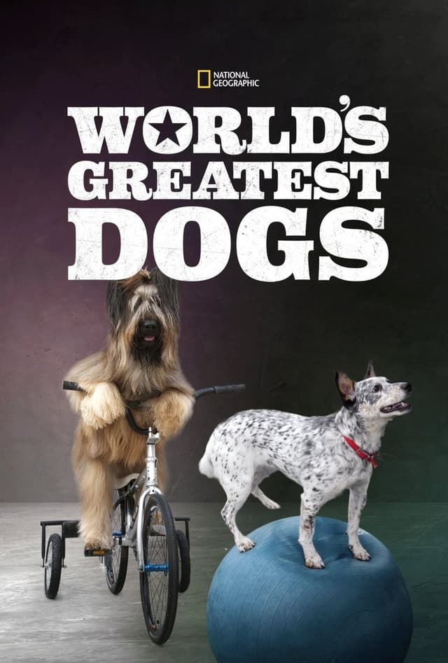 similar movie