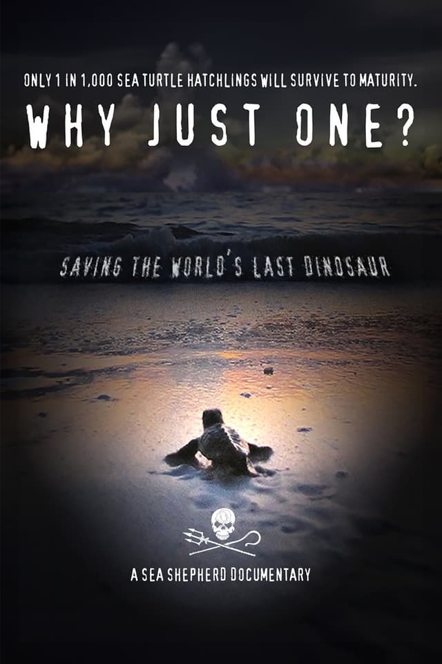 similar movie