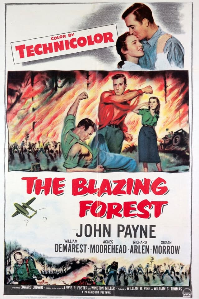 similar movie