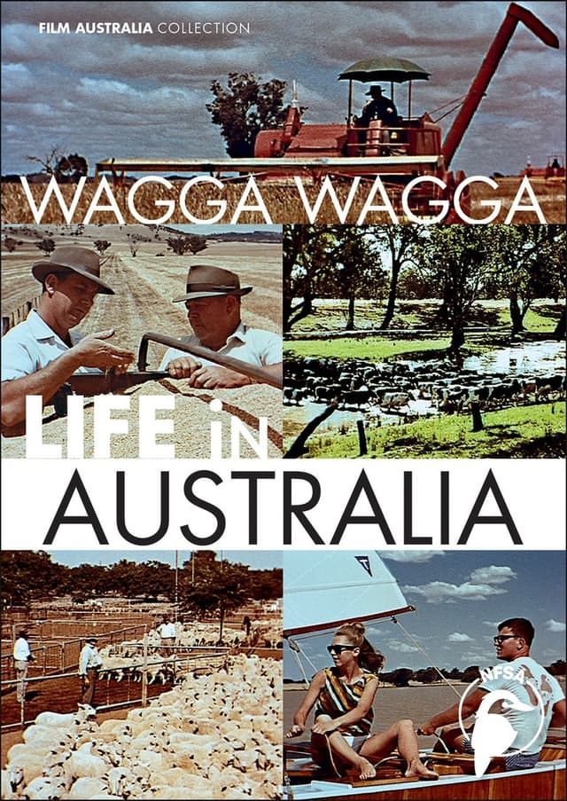 similar movie