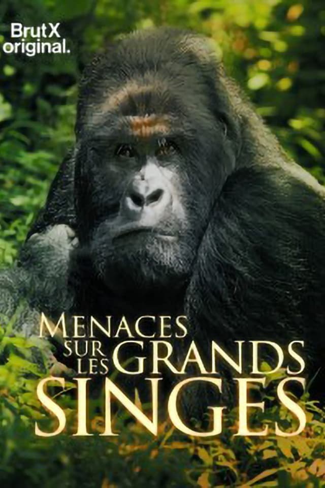 similar movie