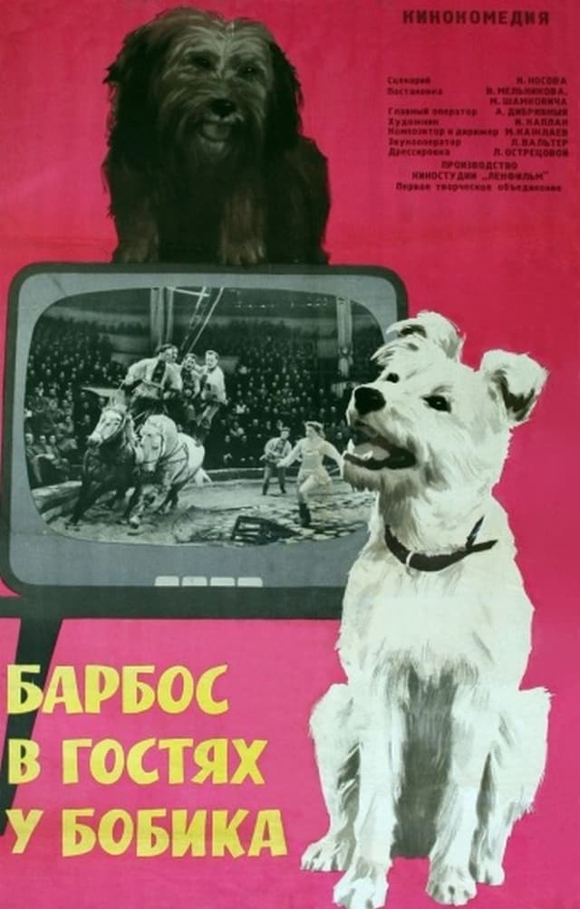 similar movie