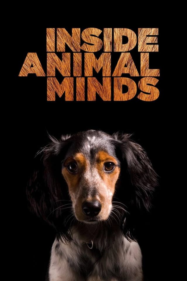 similar movie