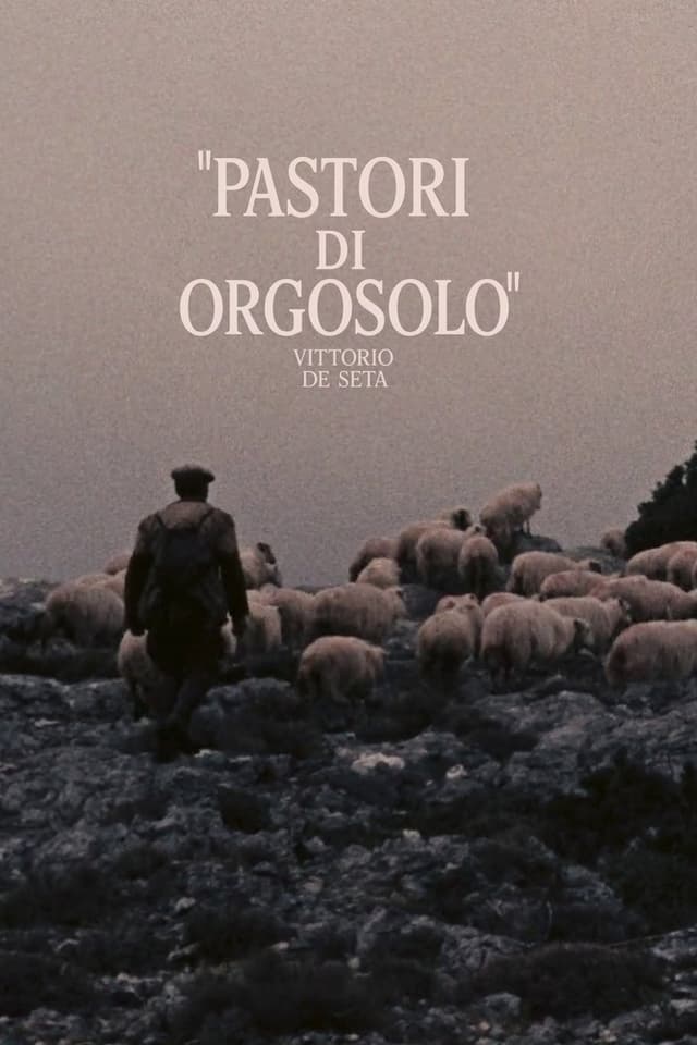 similar movie