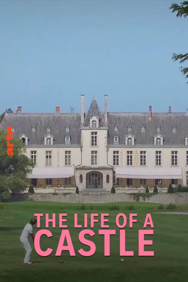 similar movie