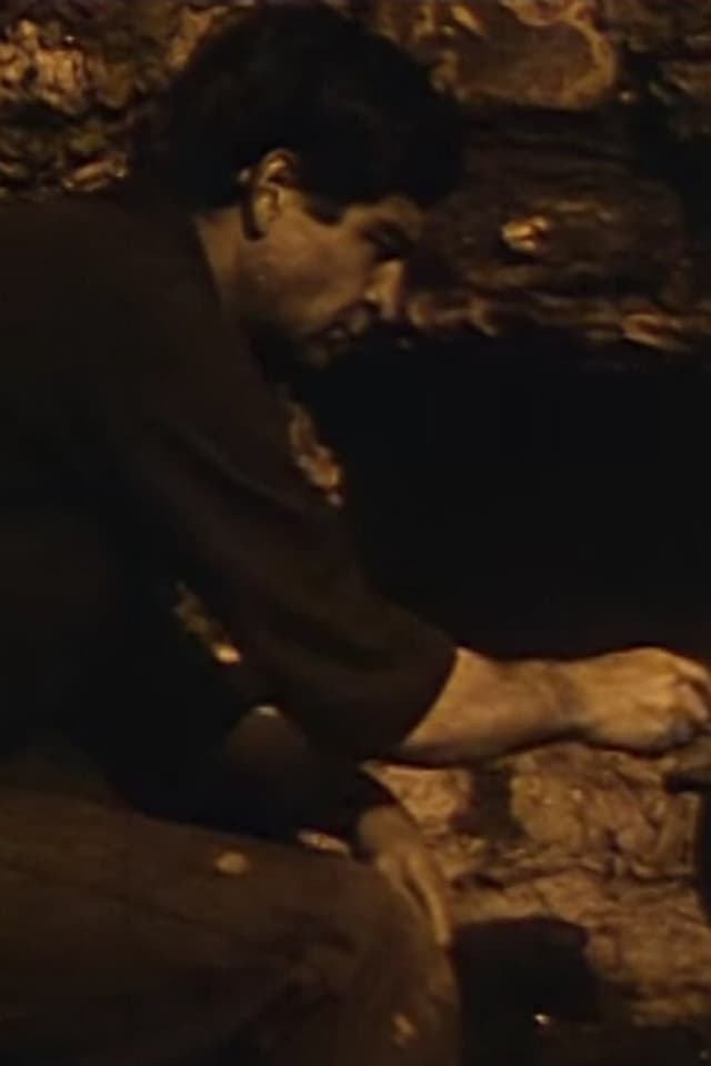 similar movie