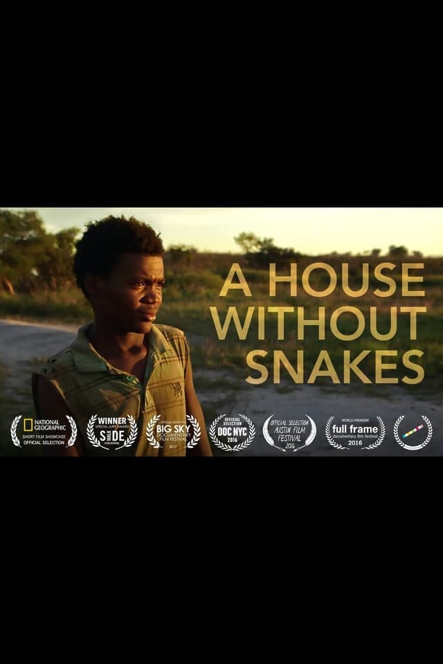 similar movie