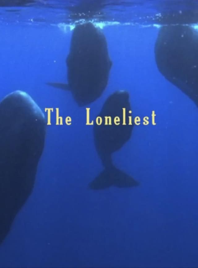 similar movie