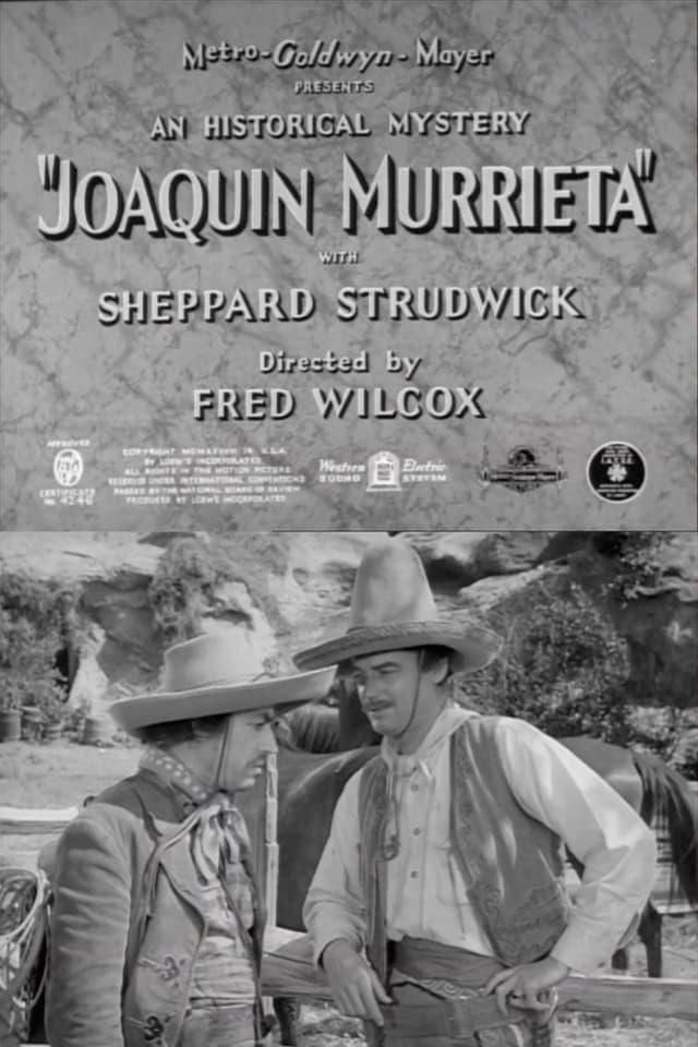 similar movie