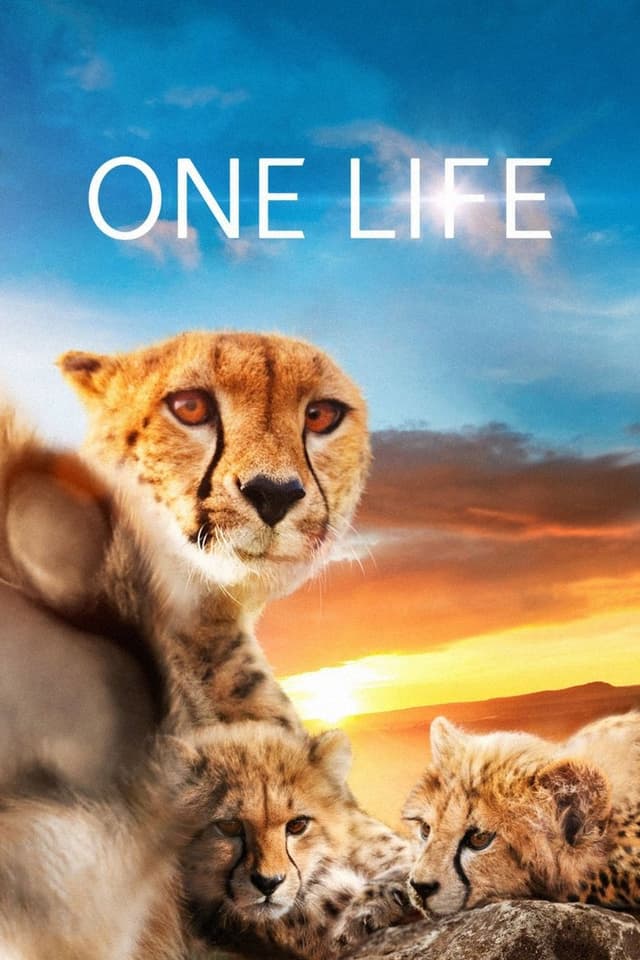 similar movie